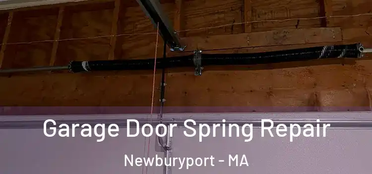  Garage Door Spring Repair Newburyport - MA